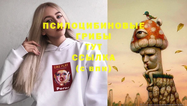 кокс Бородино