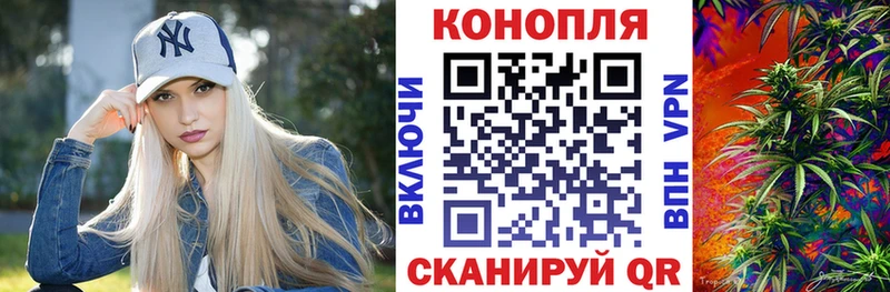 Купить  Чадан  Бошки Шишки THC 21% 